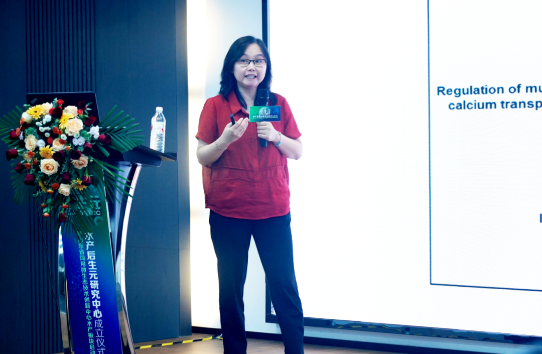 1700642527564191.png 12.png